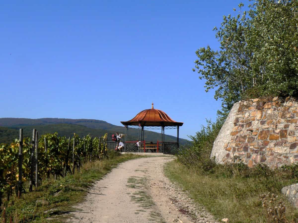 Wanderweg durch die Weinberge mit Blick auf einen kupfergedeckten Rundpavillon, die Rotweinlaube, an einem sonnigen Tag. Wanderweg durch die Weinberge mit Blick auf einen kupfergedeckten Rundpavillon, die Rotweinlaube, an einem sonnigen Tag.