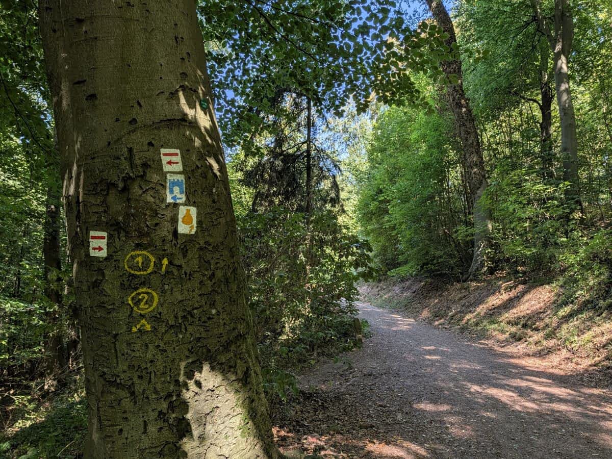 Wanderwege rund um den Heiligenberg Heidelberg
