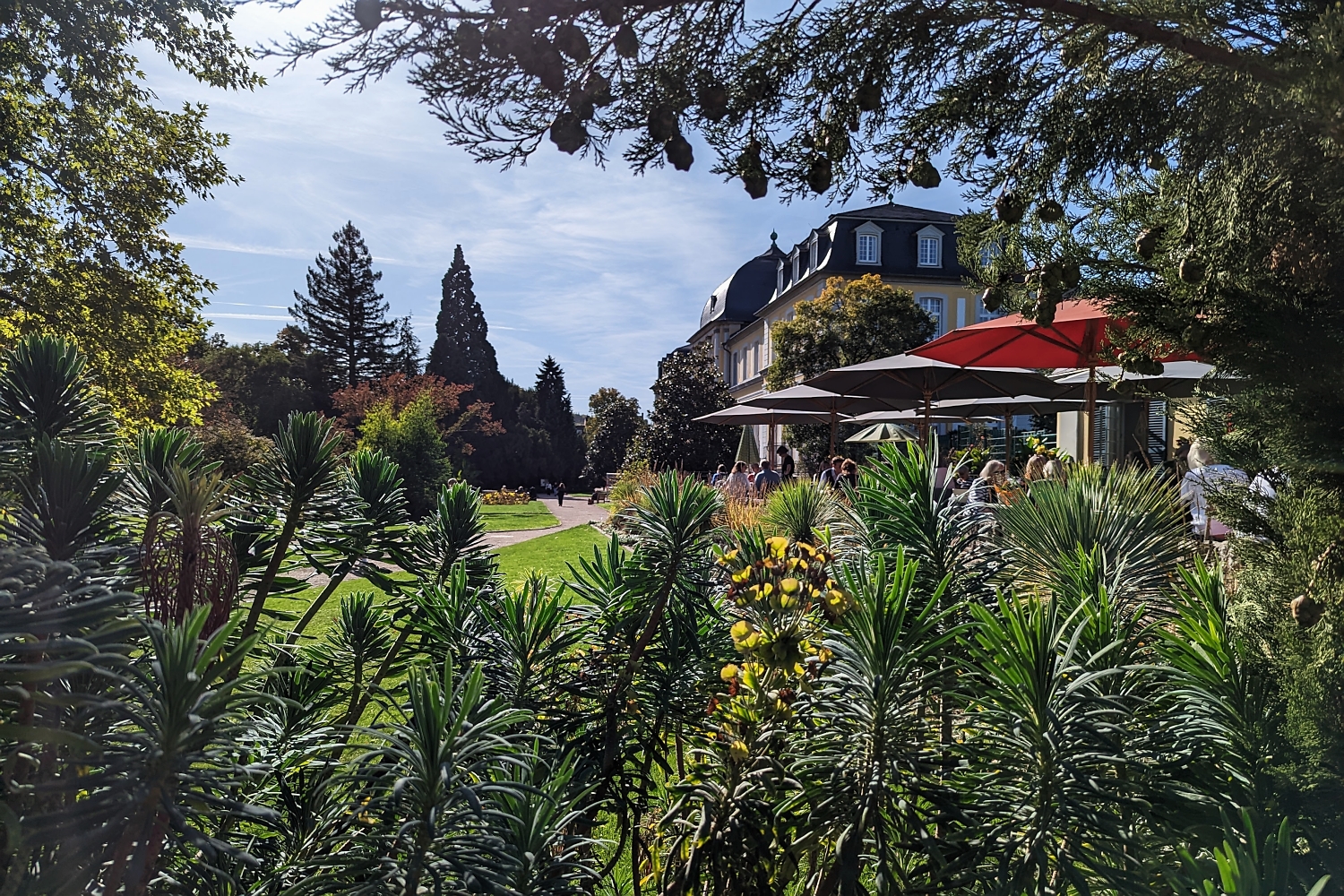 Botanischer Garten Bonn