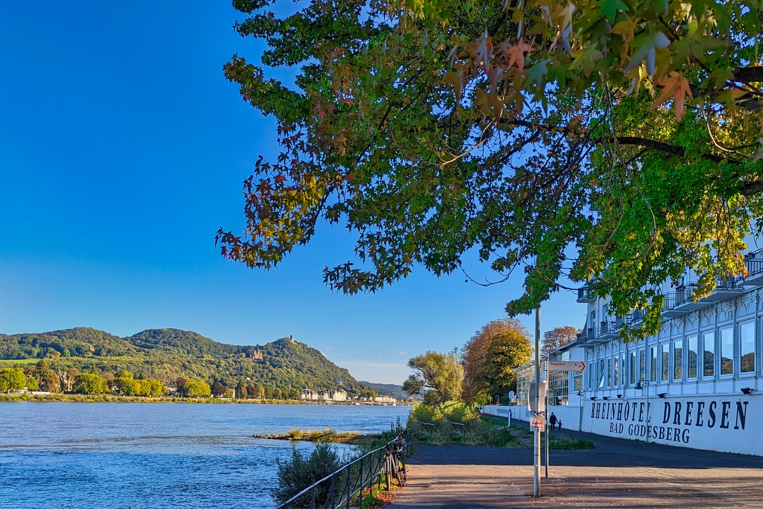 Rheinhotel Dreesen  - das "Weiße Haus am Rhein"   