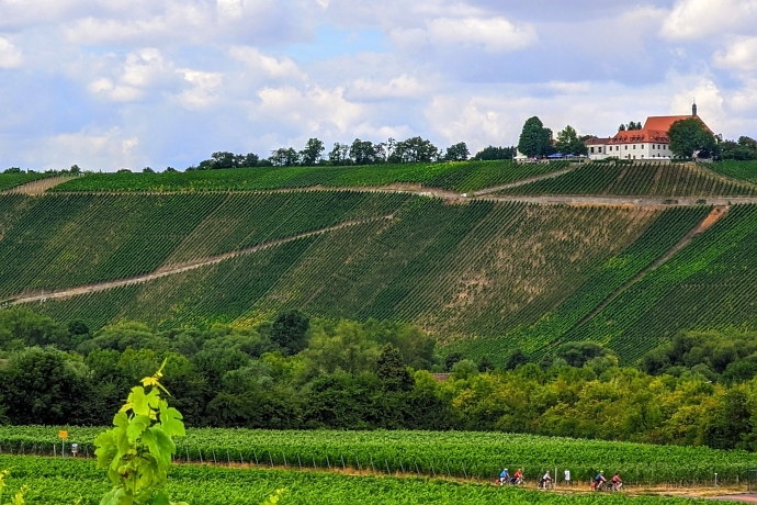 Vogelsburg oberhalb der Mainschleife 