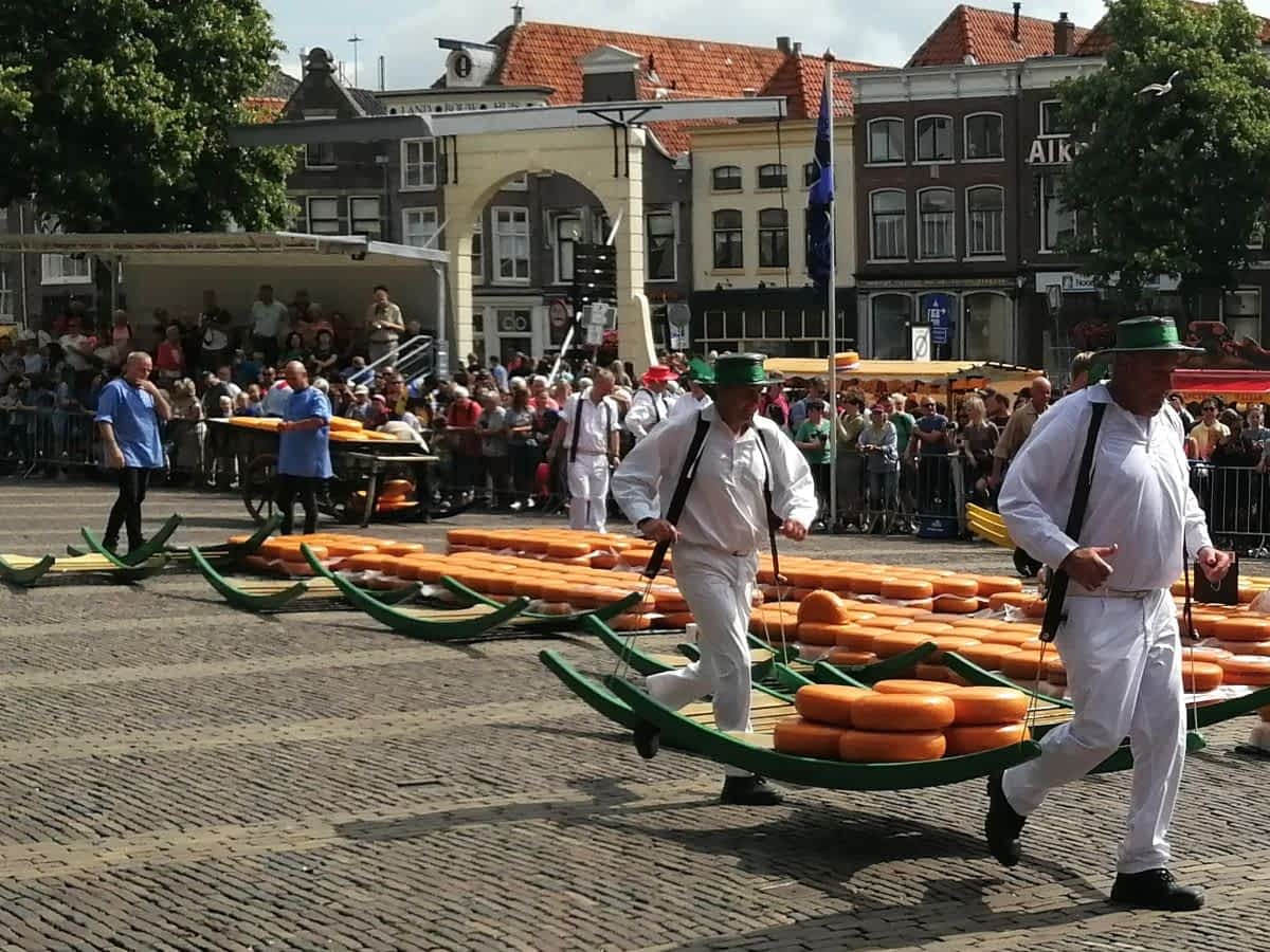 Traditionelle Käseträger in weißer Kleidung und grünen Hüten transportieren Käselaibe auf einer hölzernen Trage über den Marktplatz von Alkmaar. Traditionelle Käseträger in weißer Kleidung und grünen Hüten transportieren Käselaibe auf einer hölzernen Trage über den Marktplatz von Alkmaar.