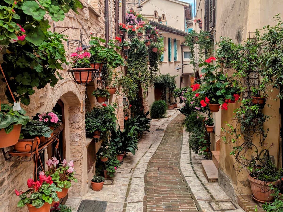 Blumengeschmückte Gasse in Spello, Umbrien