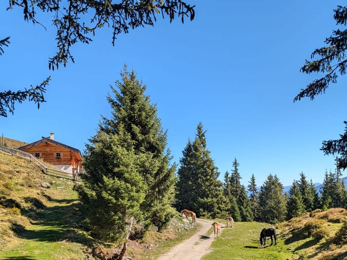 Blick vom Ridnauner Höhenweg zur Kuhalm