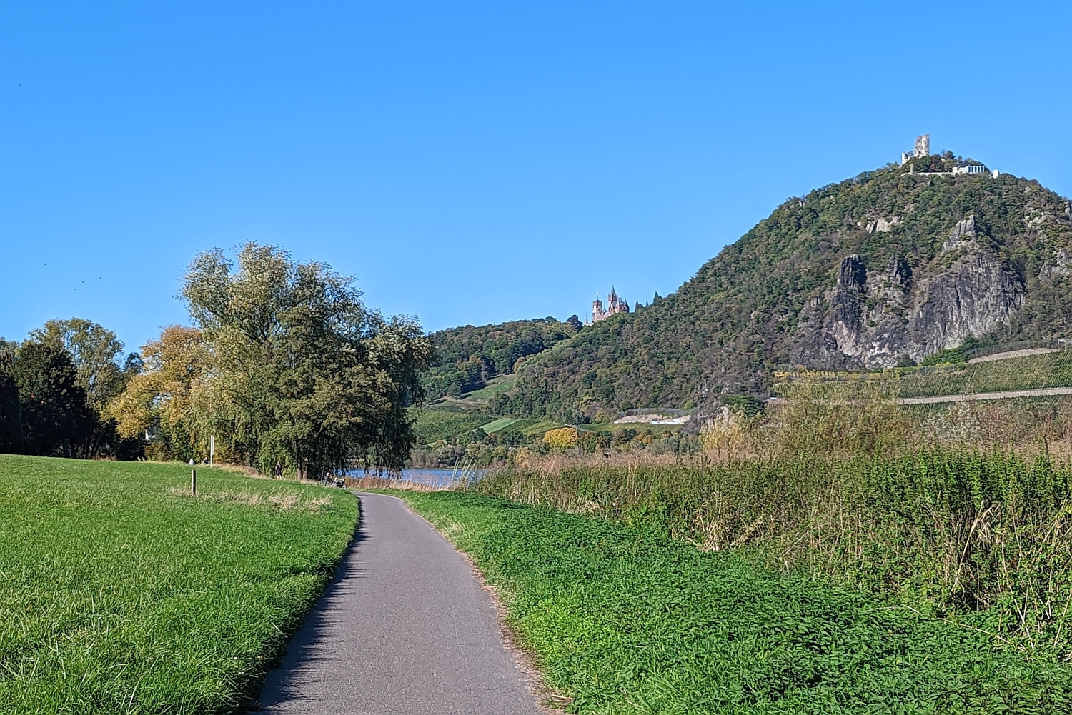 Rheinradweg - Blick Schloss Drachenburg