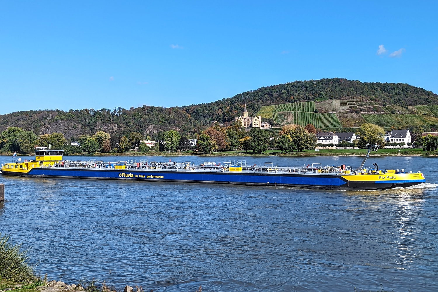 Rheinradweg-Blick von Bad Breisig 