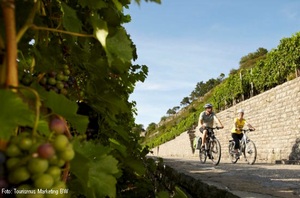 Wein soweit das Auge reicht. Der Württemberger Weinradweg führt 354 km durch Deutschlands viertgrößtes Weinbaugebiet und ist ein Paradies zum Radeln, Genießen und Erleben.
