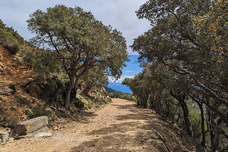 Wanderweg Korkeichenwälder Ruta Guadalmesi-El Bujeo Südspanien Andalusien
