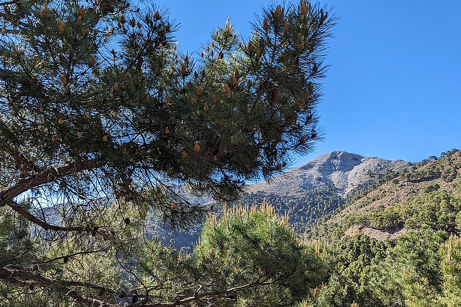 Bergkulisse Andalusien 