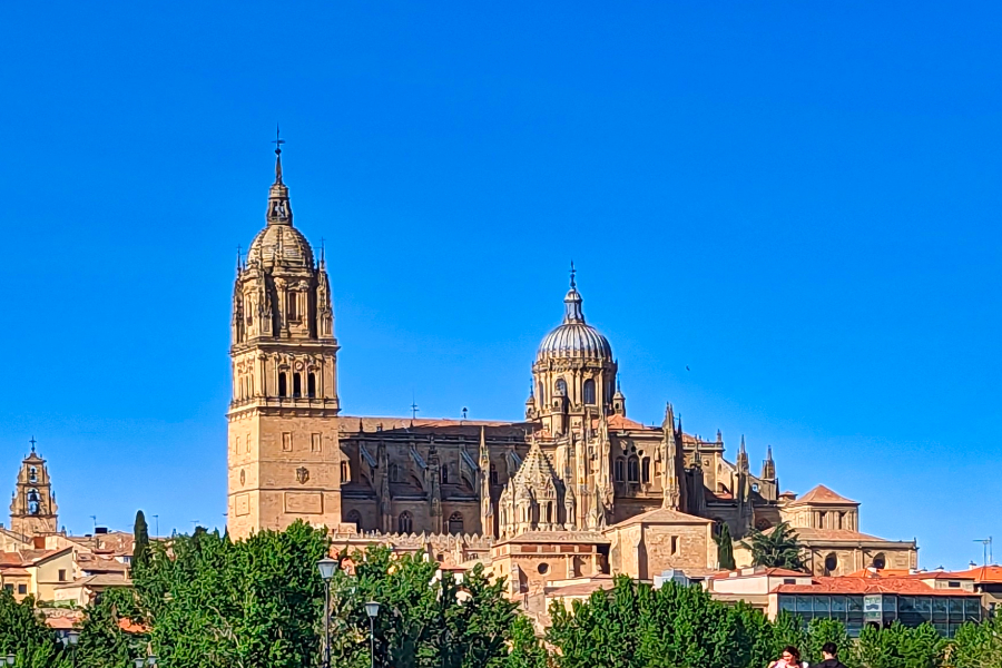 ​Salamanca Blick auf die Kathedrale von der Römischen Brücke  