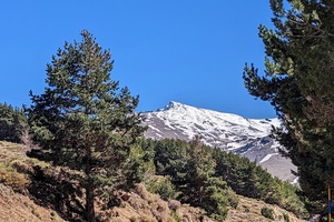 Eine abwechslungsreiche Tagestour durch die herrliche Sierra Nevada und zu Andalusiens weißen Dörfern der Alpujarra. . 