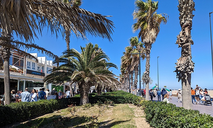 Promenade am Stadtstrand Valencia  Playa de las Arenas 