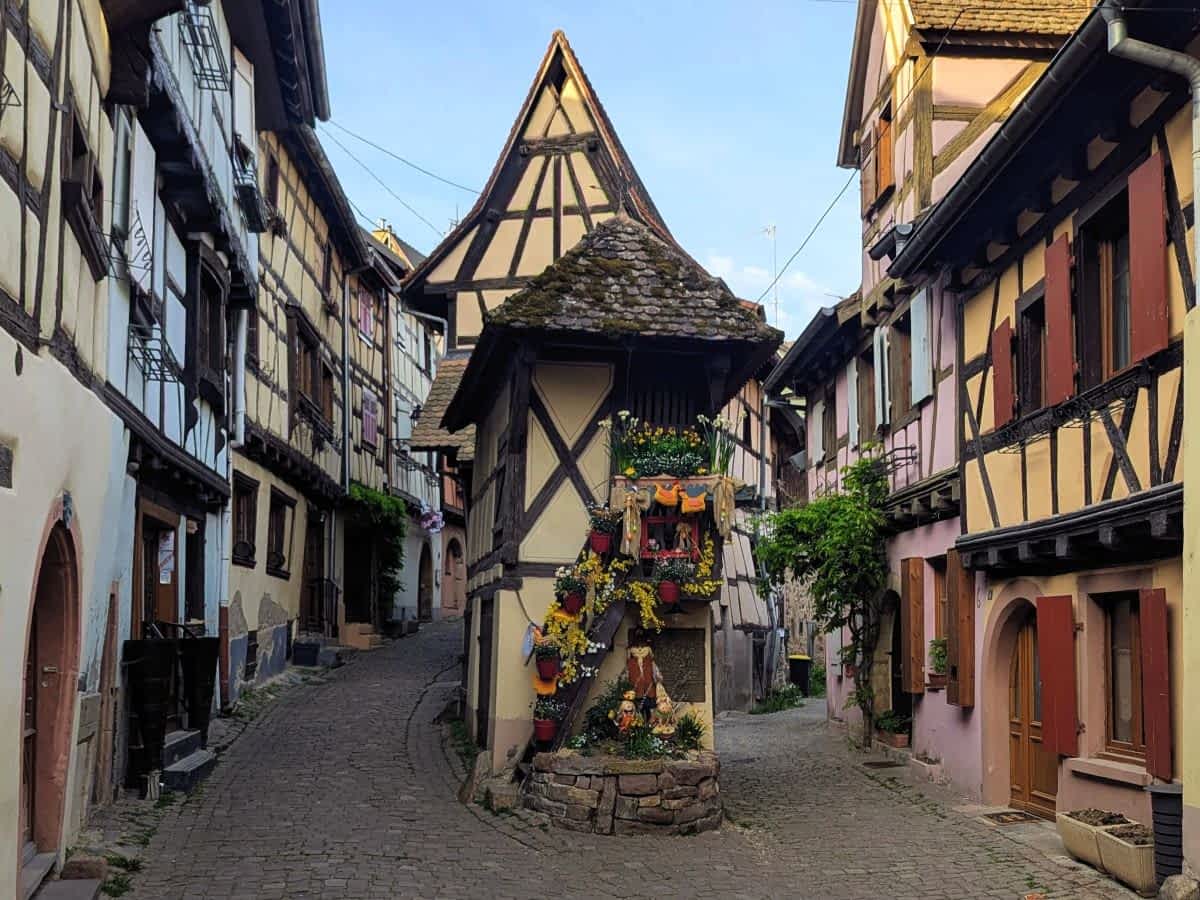 Das berühmte schmale Fachwerkhaus "Le Pigeonnier" an einer Gabelung der mittelalterlichen Gassen von Eguisheim, geschmückt mit gelben Blumen.
