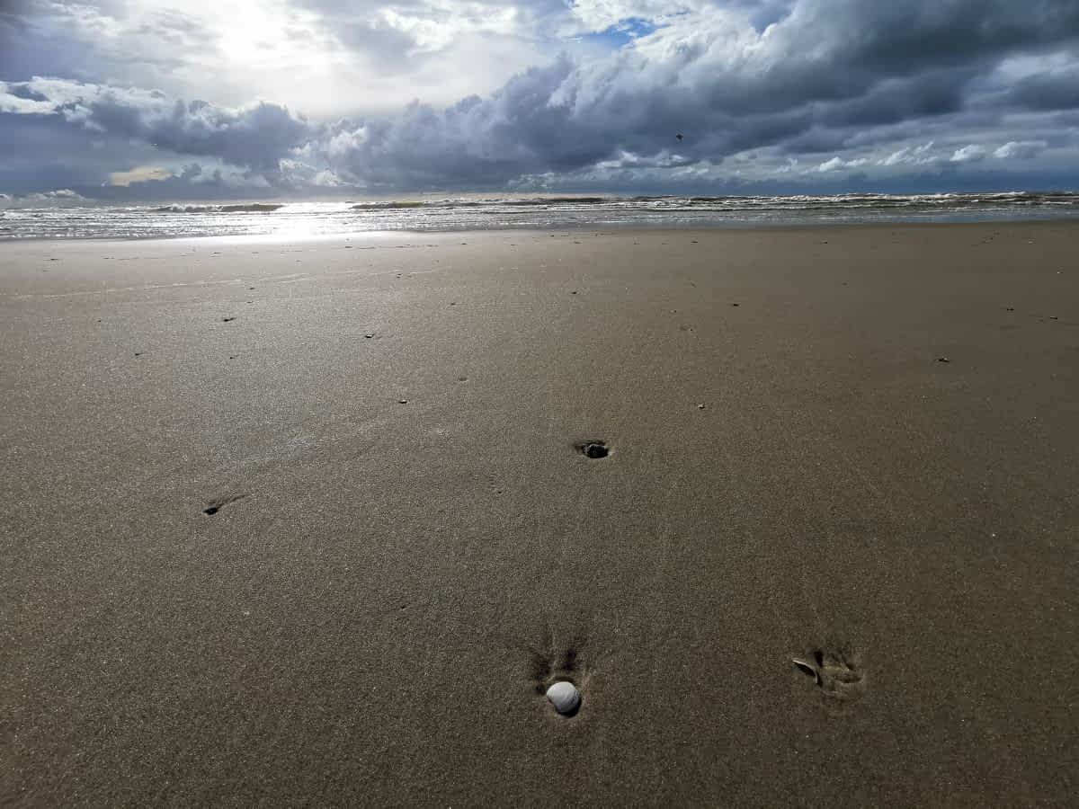 Weite Strände in Nordholland