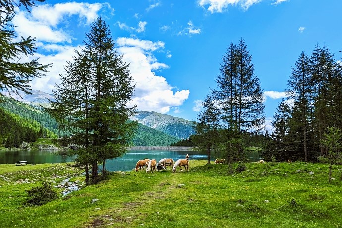 Weißbrunner Stausee. Herrlich. Glasklares Wasser und ringsherum unberührte Naturzum Innezuhalten und Durchatmen