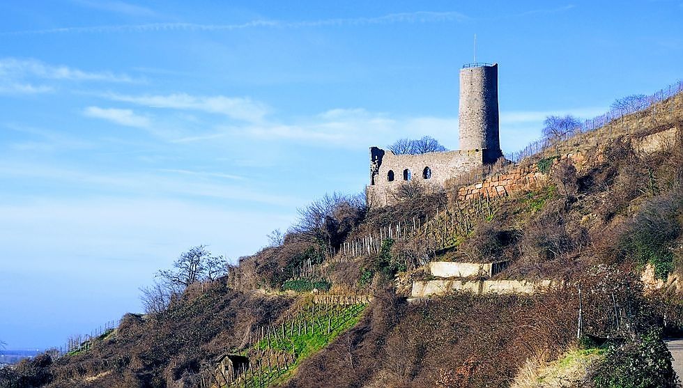 Die Strahlenburg über Schriesheim Die Strahlenburg über Schriesheim